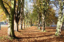 West Vale Branch Wilts & Berks Canal Trust Planning Meetings